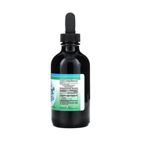 World Organics, Ultra Concentrated Liquid Chlorophyll, 100 Mg, 4 Oz World Organics